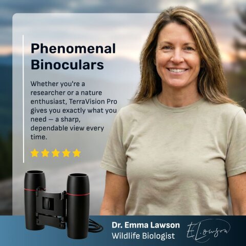 TerraVision Pro image