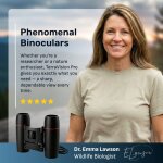 TerraVision Pro image